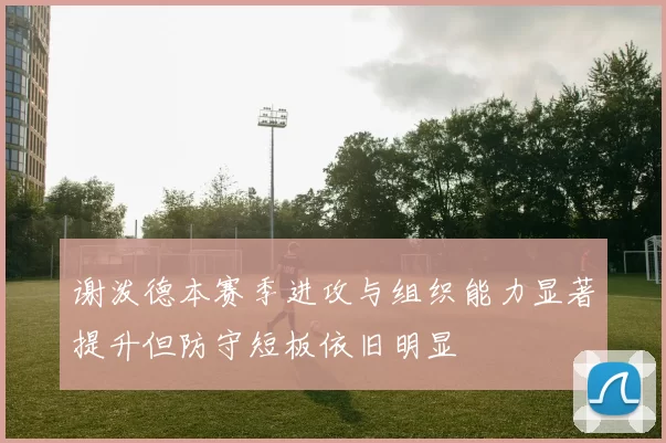 谢泼德本赛季进攻与组织能力显著提升但防守短板依旧明显